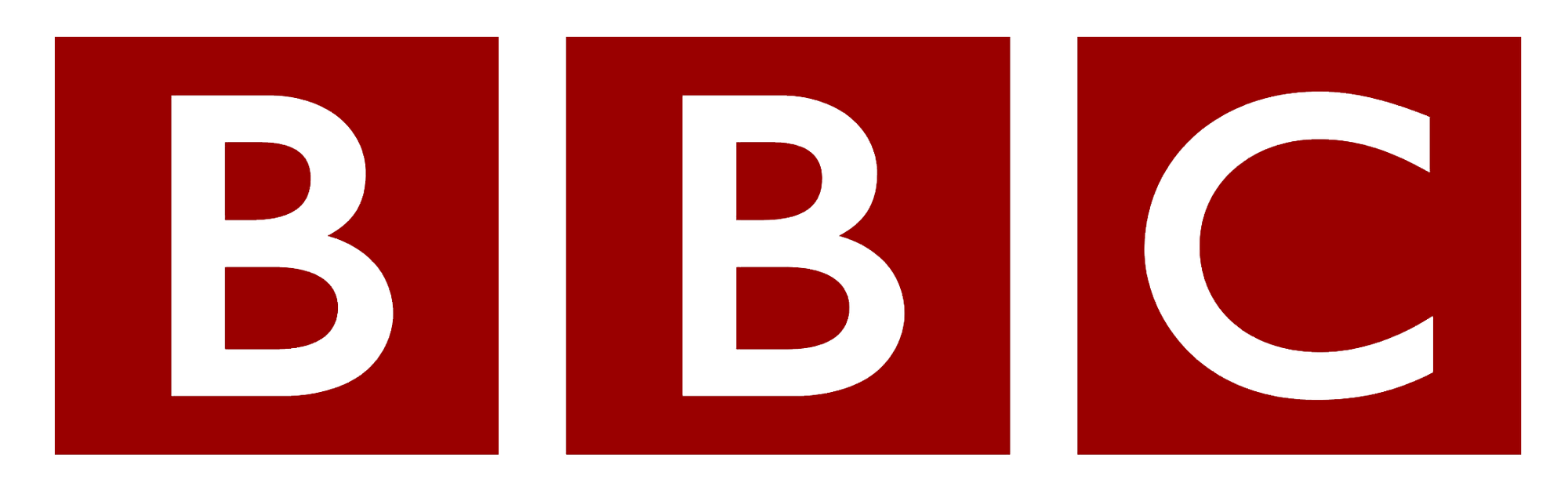 Partner 5